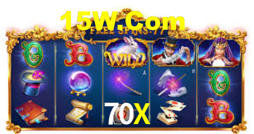 Programa VIP 70X